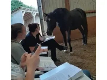 Hufkurs am 14./15.11. 2026 bei Bremen