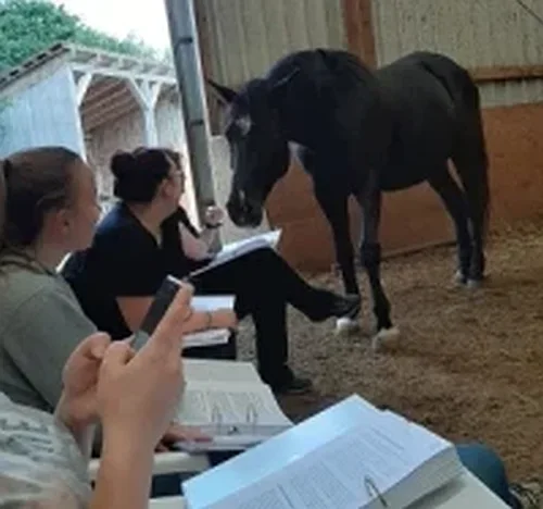 Hufkurs am 4./5. Juli 2026